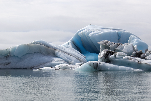 2011-07-06_11-23-55 island.jpg - Eisberge auf dem Jkulsarlon